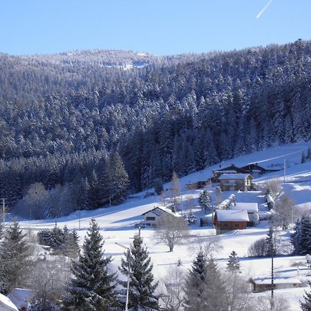Chalet Renove Proche Du Valtin - Ideal Pour Famille, Randonnees Et Ski, Wifi, Luges Fournies - Fr-1-589-150 Ban-sur-Meurthe-Clefcy Εξωτερικό φωτογραφία