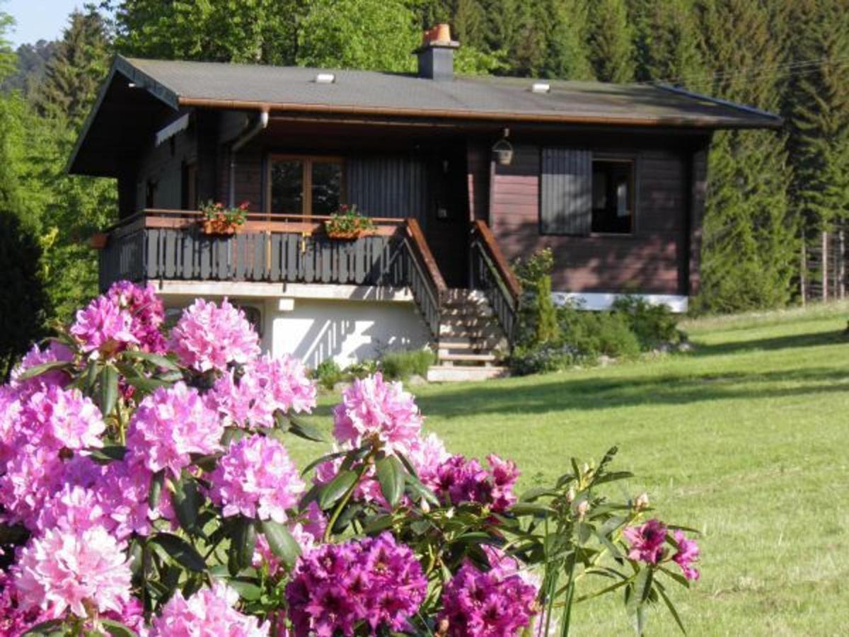 Chalet Renove Proche Du Valtin - Ideal Pour Famille, Randonnees Et Ski, Wifi, Luges Fournies - Fr-1-589-150 Ban-sur-Meurthe-Clefcy Εξωτερικό φωτογραφία