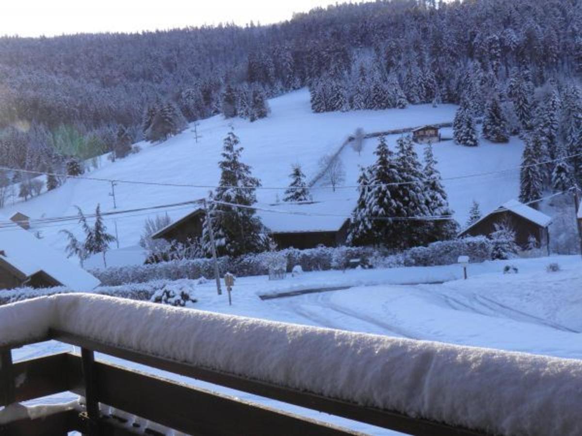 Chalet Renove Proche Du Valtin - Ideal Pour Famille, Randonnees Et Ski, Wifi, Luges Fournies - Fr-1-589-150 Ban-sur-Meurthe-Clefcy Εξωτερικό φωτογραφία